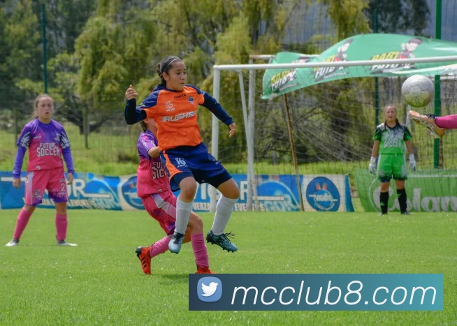 App Interface Preview