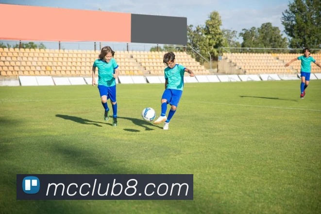 九游会官网APP 封面图